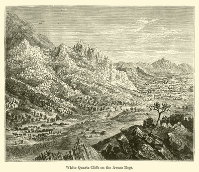 Weiße Quarzklippen an den Awass-Mooren von E. Jennings